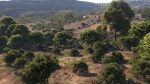 Arma 3 :: Screenshot
